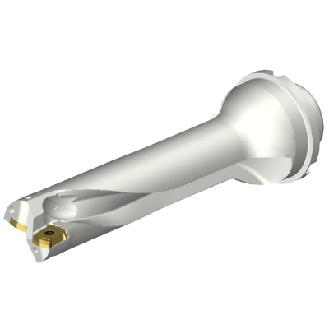 Punta a inserti foratura DS20-D3500DM40-04-Leggi tutto