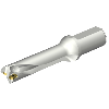 Punta a inserti foratura DS20-D2697LX31-04