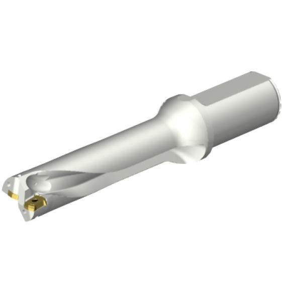 Punta a inserti foratura DS20-D2697LX31-04 Punta a inserti foratura DS20-D2697LX31-04-Leggi tutto