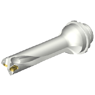 Punta a inserti foratura DS20-D2600DM32-04-Leggi tutto