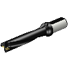 Punta a inserti 880-D2800L32-05