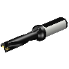 Punta a inserti foratura 880-D1550L20-04