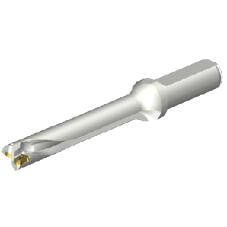 Punta a inserti foratura DS20-D1588LX19-06-Leggi tutto