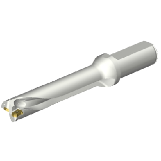 Punta a inserti foratura DS20-D2200L25-05-Leggi tutto