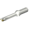 Punta a inserti foratura DS20-D1500L20-05