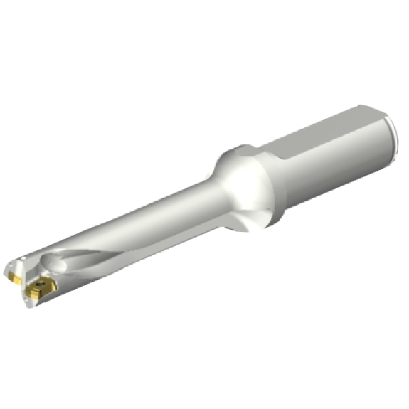 Punta a inserti foratura DS20-D1500L20-05-Leggi tutto