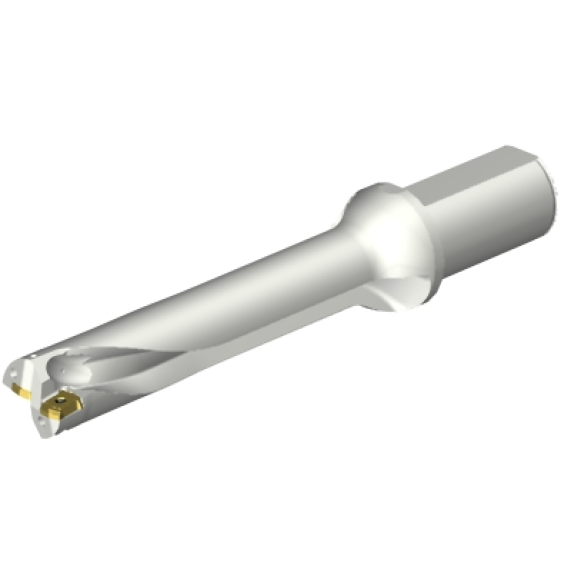 Punta a inserti foratura DS20-D3175LX38-05-Leggi tutto