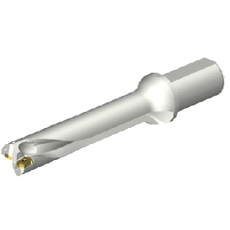 Punta a inserti foratura DS20-D3175LX38-05-Leggi tutto