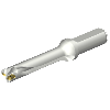Punta a inserti foratura DS20-D1588LX19-05