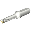 Punta a inserti foratura DS20-D1745LX25-04