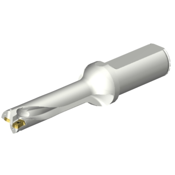 Punta a inserti foratura DS20-D1745LX25-04-Leggi tutto