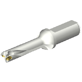 Punta a inserti foratura DS20-D1745LX25-04-Leggi tutto