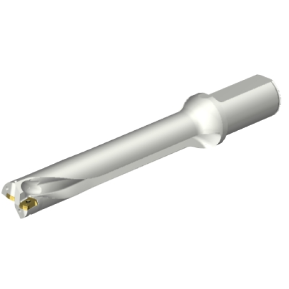 Punta a inserti foratura DS20-D2697LX31-06 Punta a inserti foratura DS20-D2697LX31-06-Leggi tutto