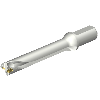 Punta a inserti foratura DS20-D2697LX31-06