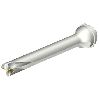 Punta a inserti foratura DS20-D3300DM40-07-Leggi tutto