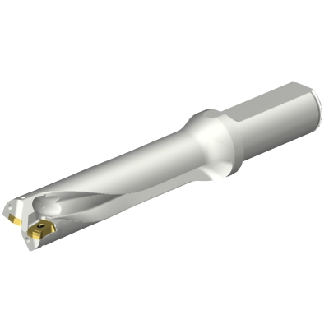 Punta a inserti foratura DS20-D2500L25-04-Leggi tutto