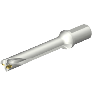Punta a inserti foratura DS20-D3100L40-06-Leggi tutto