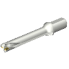 Punta a inserti foratura DS20-D3100L40-06