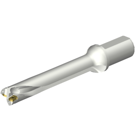 Punta a inserti foratura DS20-D3100L40-06 Punta a inserti foratura DS20-D3100L40-06-Leggi tutto