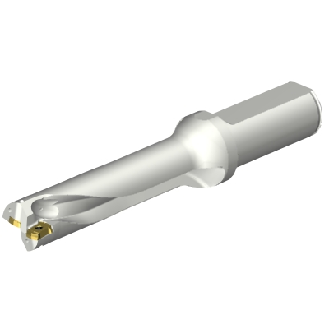 Punta a inserti foratura DS20-D2200L25-04-Leggi tutto