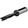Punta a inserti 880-D1400L20-05