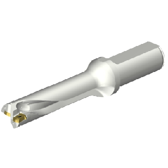 Punta a inserti foratura DS20-D2100L25-04-Leggi tutto