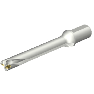 Punta a inserti foratura DS20-D3100L40-07-Leggi tutto