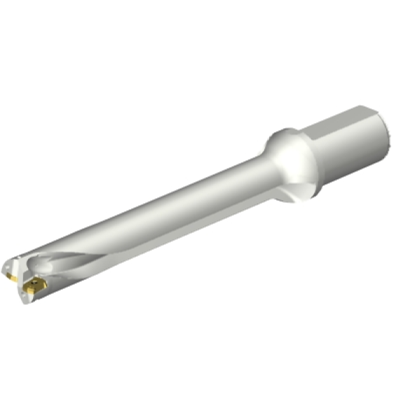 Punta a inserti foratura DS20-D3100L40-07 Punta a inserti foratura DS20-D3100L40-07-Leggi tutto