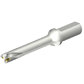 Punta a inserti foratura DS20-D1900L25-06-Leggi tutto
