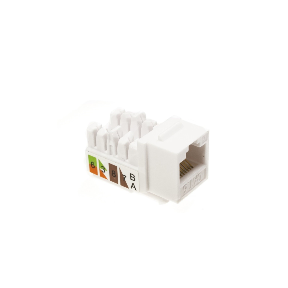 Módulo Hembra RJ45 Cat 6 UTP Tipo Keystone Slim Networking-Lire la description