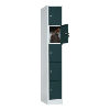 Casillero objetos valor 5 cmpts 1850x300x500 mm anc. comp. 300 mm RAL 7035/7016