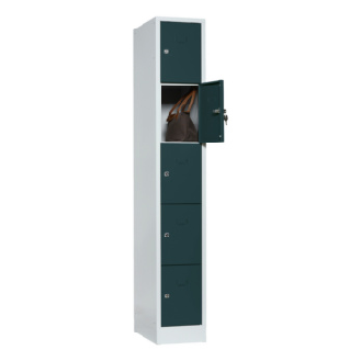 Casillero objetos valor 5 cmpts 1850x300x500 mm anc. comp. 300 mm RAL 7035/7016-Leer más
