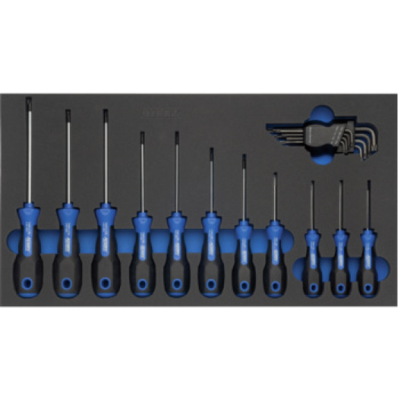 Insert en mousse dure vissé avec un jeu de tournevis TX, 265x490x30 mm-Leggi tutto