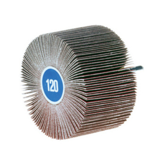 Vis de feuilles abrasives Ø6 mm 50x15 mm K150-Beschreibung lesen