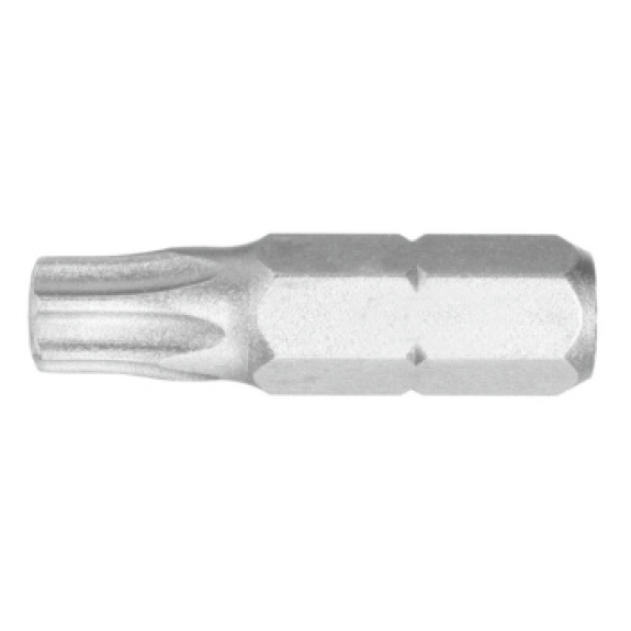 Punta ATORN C6.3 TX 10 x 25 mm Punta ATORN C6.3 TX 10 x 25 mm-Leer más