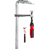 Tornillo de apriete todo acero con empuñadura de plástico bicomponente GZ-2K - GZ50-12-2K -