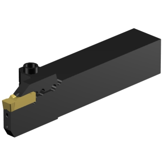 RF123M125C20E Utensile tornitura-Leggi tutto