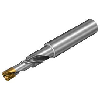 860.2-1030-034A1-GM X1BM Punta foratura-Leggi tutto