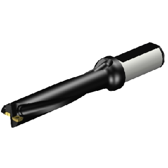 Punta a inserti A880-D0875LX25-05-Leggi tutto