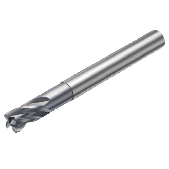 R216.24-10050ECK22P 1620 Fraise-Leer más