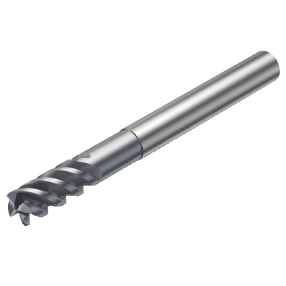R216.24-10050GCK22P 1620 Fraise-Leer más