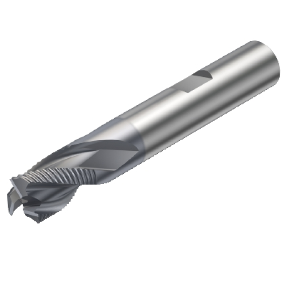 R216.33-10030-BS11K 1640 Fraise-Beschreibung lesen