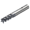 R216.24-10050EBC22P 1620 Fresa