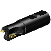 R390-025B25-11L Fresa