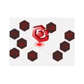 HikCentral-P-Unified-Global/12 Hikvision, Basislizenz, 12 Kameras, 8 Türen, 4 Intercom-Stationen, für Hik-Central Pro-Beschreibung lesen