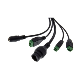 IED-62M2812MAA eneo, 1/2,8 Zoll Netzwerk Dome, Fix, 1920x1080,Tag/Nacht, WDR, 2,8-12mm, Infrarot, IP66-Beschreibung lesen