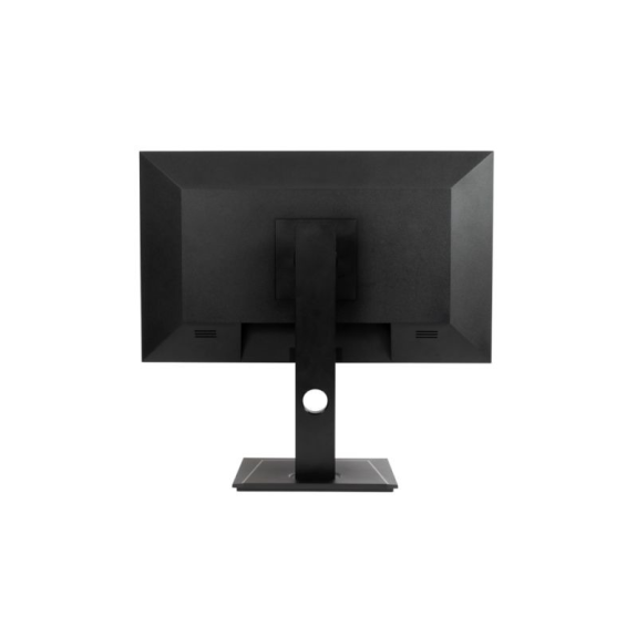 24 Zoll LCD-Display WQHD mit USB-C und HDMI-Konnektivität-Beschreibung lesen