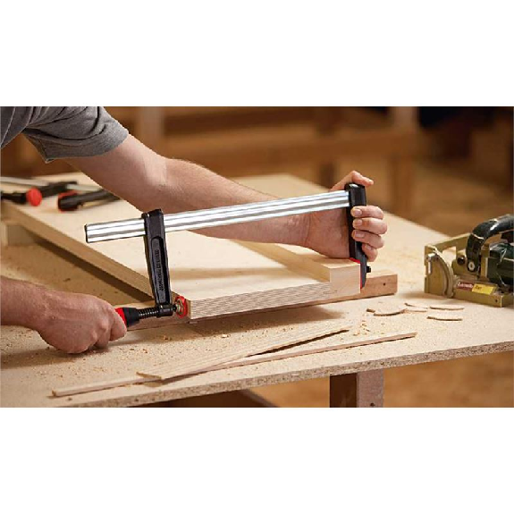serre-joint à vis en fonte malléable avec poignée en plastique bi-composant TPN-BE-2K - TPN25-Lire la description