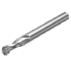R216.42-10030-AK19A H10F Fresa
