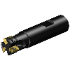 RA390-019M19-11M Fresa